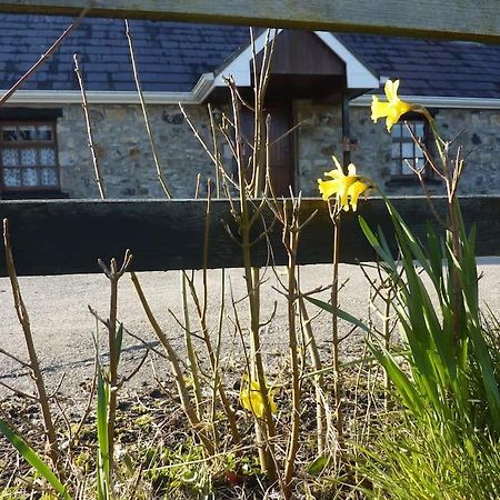 The Hill Cottage กัลเวย์ ภายนอก รูปภาพ