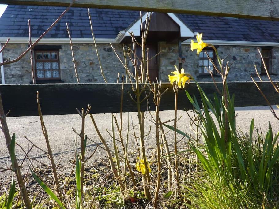 The Hill Cottage กัลเวย์ ภายนอก รูปภาพ